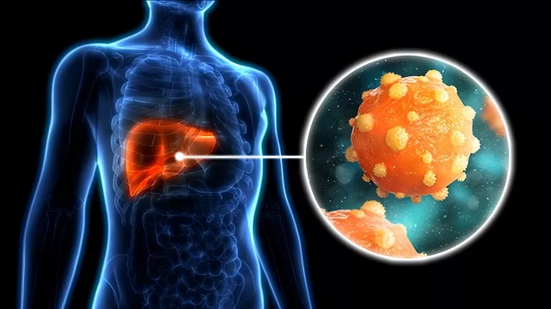 Hepatitis B Vaccine Is Not 