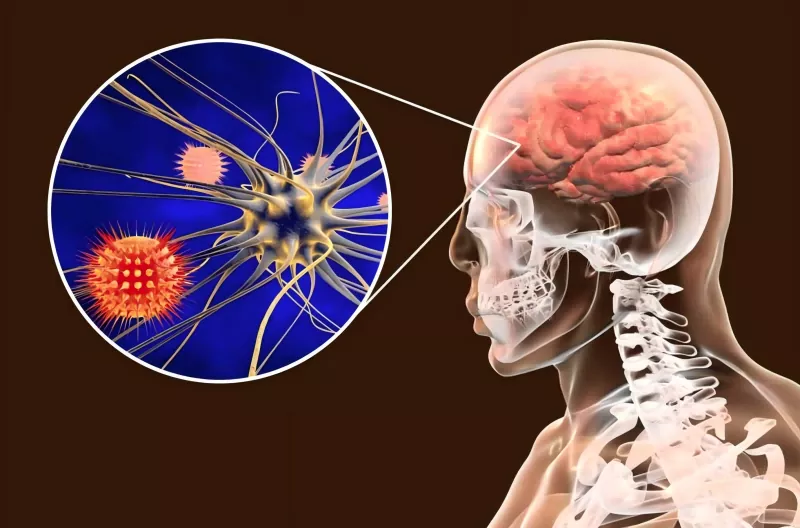 Meningococcal Vaccine Guide