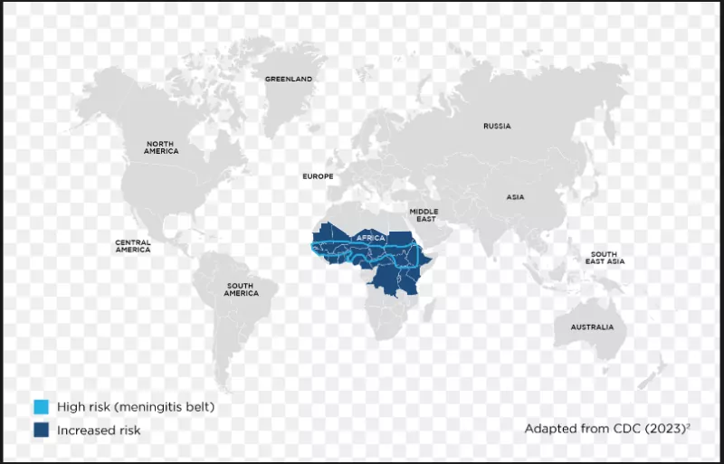 Meningococcal Vaccination Recommendations for High-Risk Populations: A Cross-Country Review